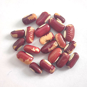 红豆色选案例(图6)